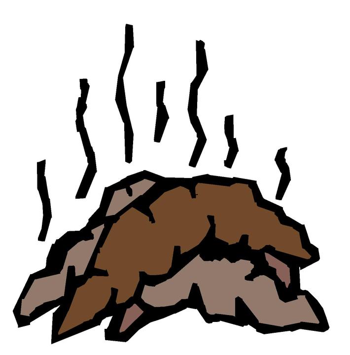 poop2